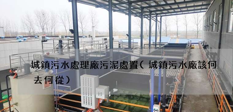 城鎮污水處理廠污泥處置(城鎮污水廠該何去何從)